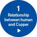 STEP1 Relationship between human and Copper